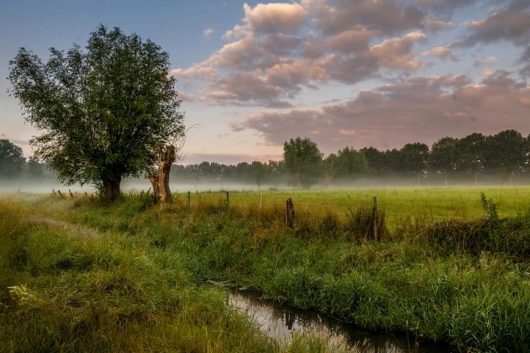 Aus dem Umweltausschuss: Konzept für Kranenbachtal kommt!