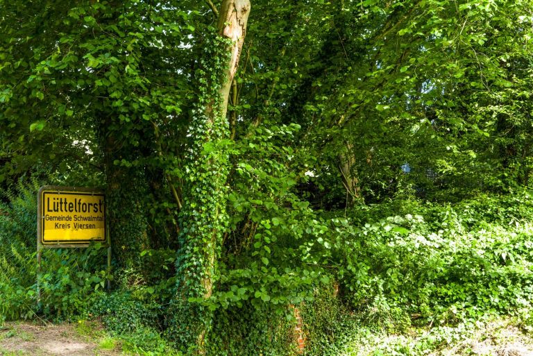 Neverending Story – Mülldeponie Raderberg II