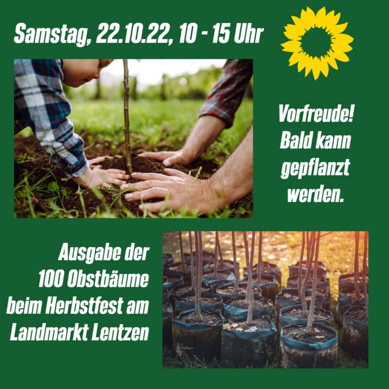 Baumausgabe am 22.10.