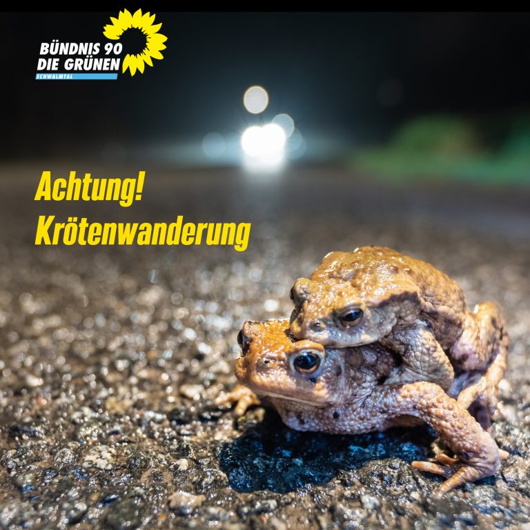 Achtung! Krötenwanderung.