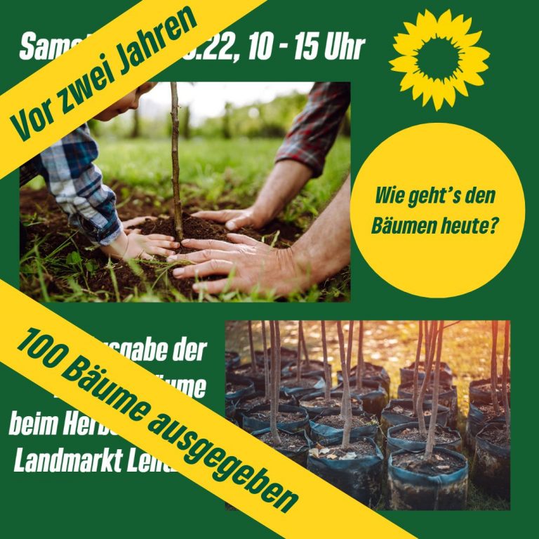 Wie geht’s den 100 Bäumen heute? Gewinne noch einen Baum!