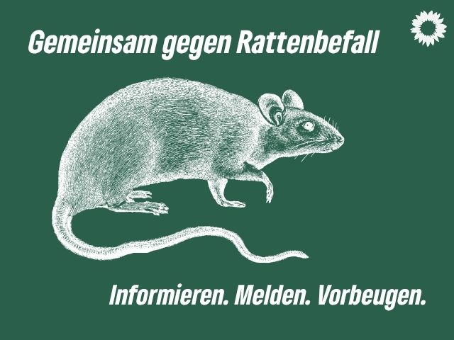 Weniger Ratten durch bessere Information