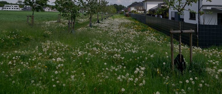 Alles nur Wahlkampf?